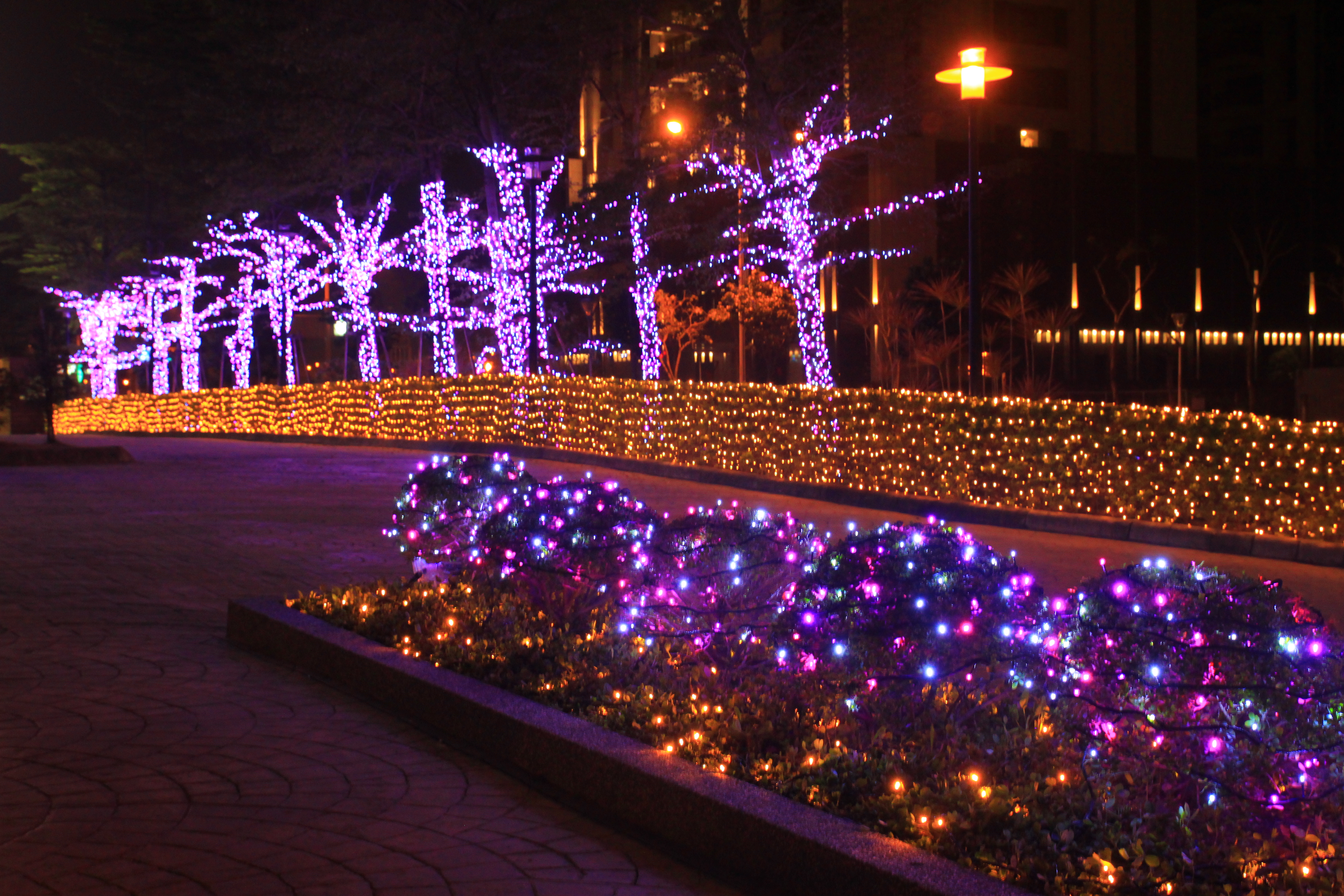 LED 彩光網燈