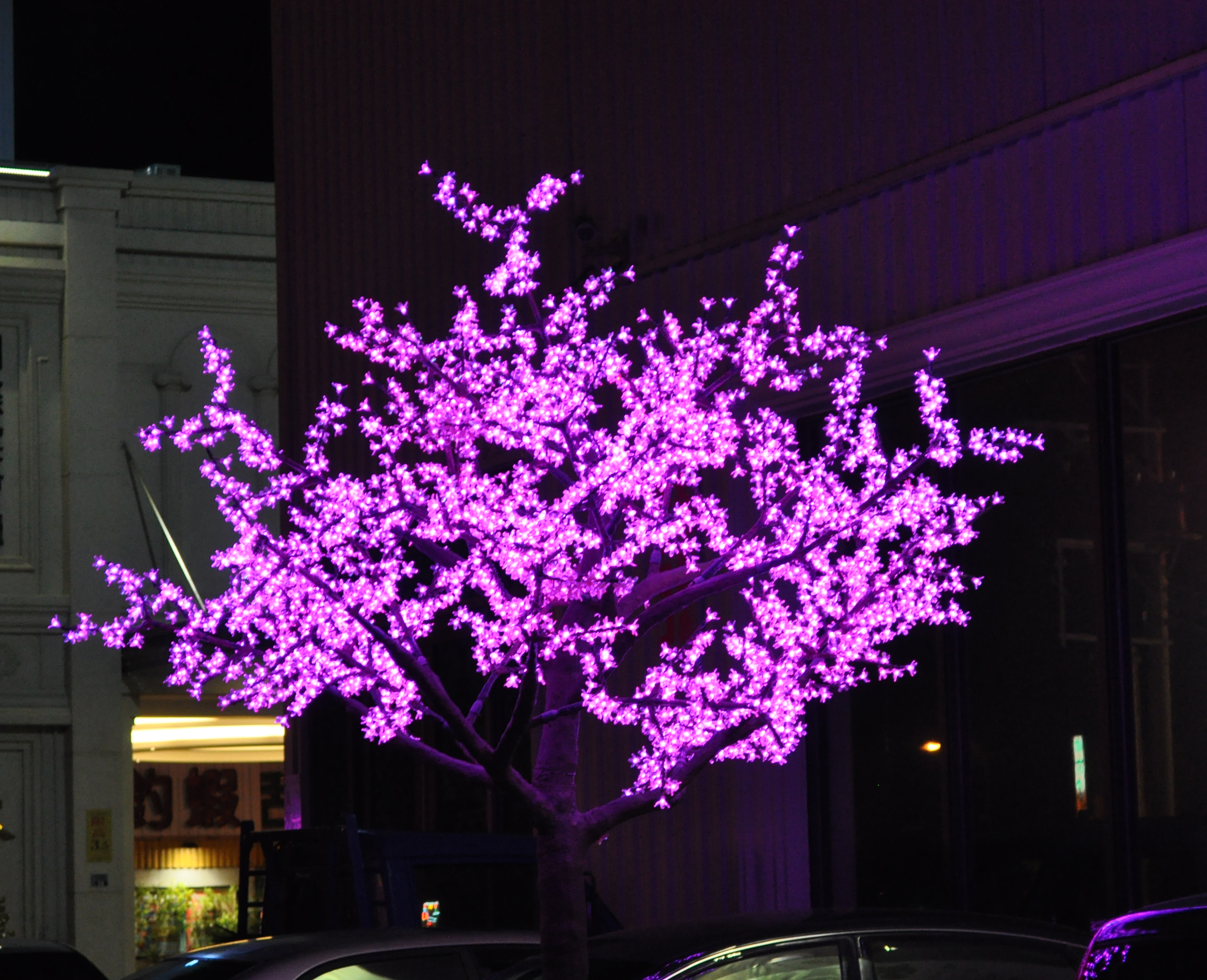 LED 梅花樹 / 櫻花樹