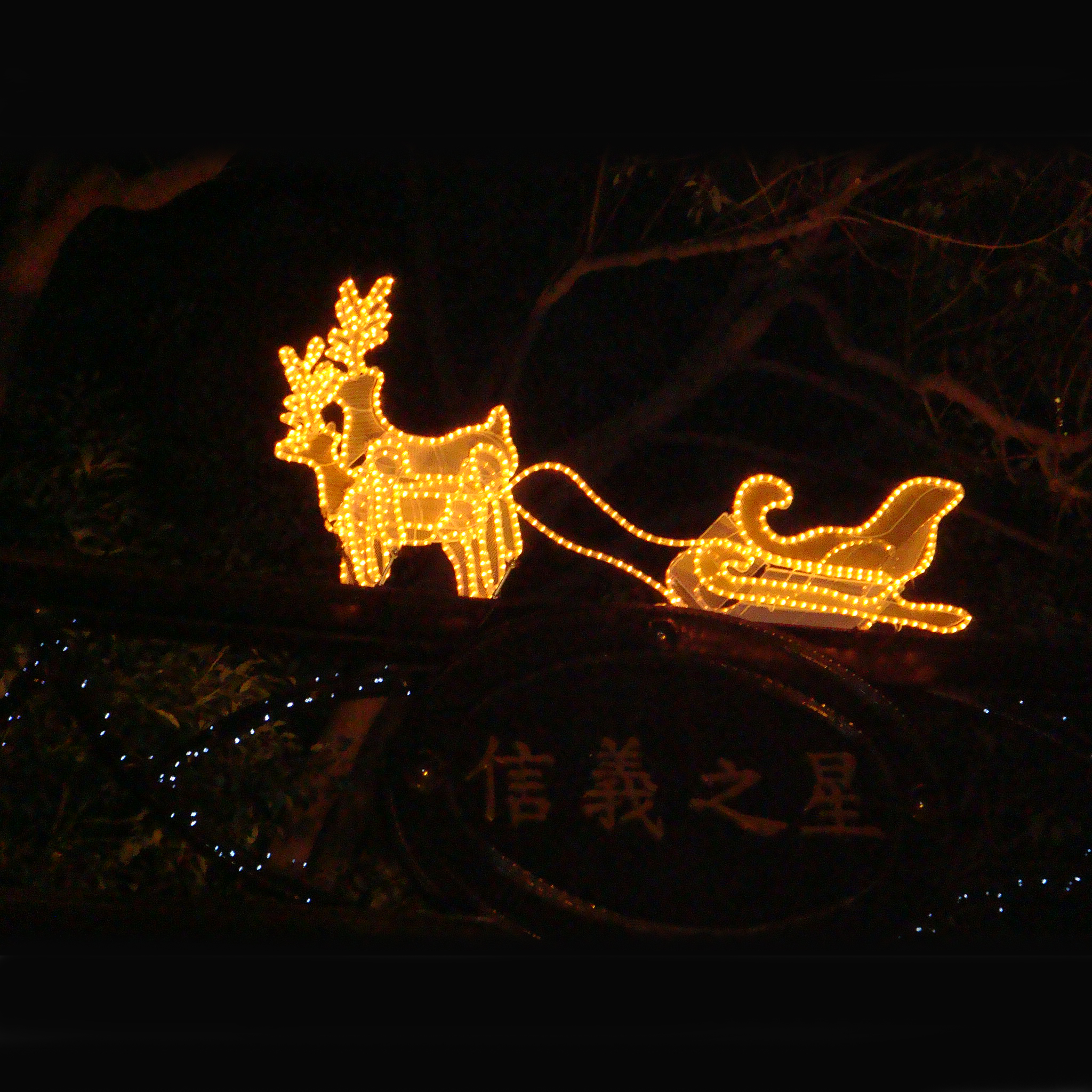 LED 立體大小雪橇